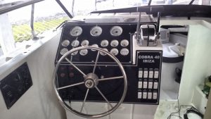 Cobra 40 depois (25)